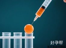 2025二代试管婴儿成功率解析：40%-50%背后的关键因素